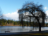 Lost Lagoon Landscape Vancouver Canada Free Desktop 