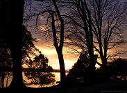 Stanley Park Sunset Photo Free Desktop Image