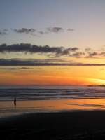Surfer's Paradise West Coast Vancouver Island Tofino BC