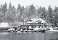 Coal Harbour Winter Landscape Photo Stanley Park Vancouver Canada