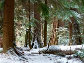 BC Canada West Coast Winter Landscape Photo 