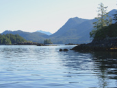 West Coast Whale Watching Tofino BC Pacific Ocean
