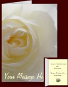 White Rose Cards & Gifts - Customized White Rose Cards Rose Gifts Prints, Decor & Keepsakes Online 