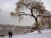 Winter Landscape Photo Snow covered Trees Photograph Stanley Park Lost Lagoon Vancouver BC Artist / Designer Kim Hunter / Indigo.