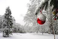 Festive Winter Landscape Photograph Desktop Image 