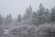 Festive Winter Landscape Photograph Desktop Image 