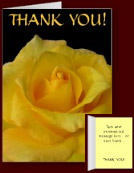 Personalized Flower Greeting Cards - Roses, Buttercups, Daisies, Daffodils and Sunflower Custom Flower Cards for Birthdays, Thank You Cards, Sympathy, Romantic, Congratulations, Get Well, Weddings, Anniversary, New Baby, Customize your Greeting Cards Online. 