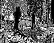 Canadian Landscape West Coast Forest HD Digital Rendering