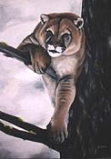 Cougar painting wildlife  painting mountain lion Draped over Tree Oil Painting wildlife painting Canadian Artist Kim Hunter / Indigo Commissioned paintings welcome!