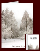 Personalized Seasons Greeting Cards Winter Cards 