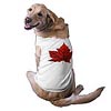 Canada Souvenir Pet Gifts Canada Flag & Red Maple Leaf Dog Shirts
