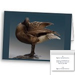 Canada Geese Cards Personalized or Blank Cards Goose Greeting Cards Personalized 