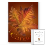 New Personalized Canada Maple Leaf Greeting Cards 