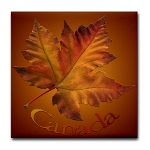 Canada Souvenir Coasters 2 New Maple Leaf Coasters Added