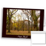 Blank Central Park New York Cards Personalized Central Park Card Invitations