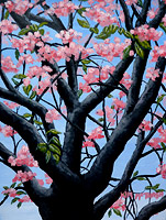 Original acrylic landscape painting of a blossoming cherry tree vancouver bc by artist Kim Hunter aka INDIGO