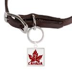 Canada Souvenir Pet Tags Cool Retro Canada Souvenirs