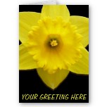 Personalized Spring Flowers Cards Yellow Daffodil Greeting Cards Personalized Cards 