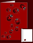 Blank Ladybug Card Cool Ladybug Greeting Cards for Men Women Kids Home & Office Original Ladybug Art Cards & Ladybug Lover Cards & Gifts Design by Kim Hunter. See www.kimhunter.ca for many more cards, keepsakes and gifts online