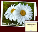 Daisy Cards Personalized Flower Cards 