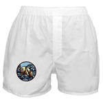 Polar Bear Art Boxer Shorts Wildlife Painting
