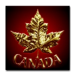 Gold Canada Coasters 2 New Metal Canada Coasters Added