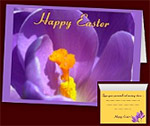 Easter Flowers Cards Personalized Crocus Cards 