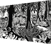 Landscape Art Prints Black and White BC Forest Landscape Art Prints Stanley Park Art Gifts