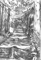 West coast Landscape pencil Sketch pencil drawing  Winding dirt road on Mayne Island BC by contemporary Canadian Artist INDIGO aka Kim Hunter country road sketch pencil drawing  by Canadian Vancouver BC Artist INDIGO aka Kim Hunter Pencil Sketches / Drawings / Illustration Flowers Wildlife Landscapes Sketches Ink Drawings & Original Art & illustration landscape sketches, wildlife, nudes, people, portraits, pets, Art & Design Pencil, graphite & ink sketches & drawings by Kim Hunter freelance professional artist