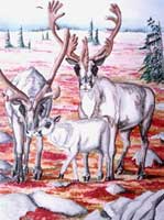 wildlife painting tundra CARIBOO painting Caribou on the Autumn Tundra Painting Churchill MB Original Painting Click on Image for Detail