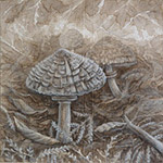 Parasol Mushroom Painting shaggy mane mushroom ink & white pencil on canvas 9