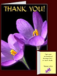 Crocus Flowers Cards Personalized Crocus Cards
