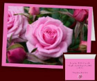 Pink Rose Cards Personalized Rose Greeting Cards