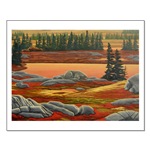 Arctic Art Polar Bear Mini Poster Print