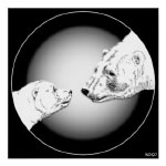 Polar Bear Art Prints Wildlife Art Posters & Bear Art Prints 
