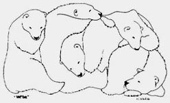 bear ink drawing wildlife paintings Polar Bear Painting  Mother with Cubs "Nap Time" Napping Illustration Original Pen & Ink Drawing inspired by an Arctic Upbringing  in Churchill MBPen and Ink Churchill Polar Bears Mother with Cubs Illustration Drawing by Contemporary Canadian Artist Kim Hunter / Mc Tavish aka INDIGO