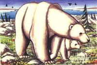 Churchill painting Polar Bear with Cub on the Summer Tundra Painting Churchill Manitoba Original Painting Click on Image for Detail