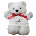 Polar Bear & Cub Art Teddy Bear Wildlife Art Gifts