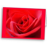 Personalized Rose Cards Blank Customized Invitations