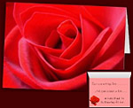 Red Rose Cards Personalized Romantic Rose Cards 