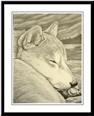 Shiba Inu Dog Framed Art Print & Gifts Shiba Inu Famed Art Print