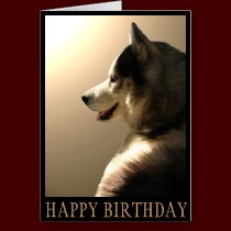 Personalized Husky Greeting Cards Siberian Malamute Card
