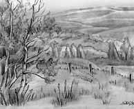BC Landscape Pencil Sketch done on the foothills of Alberta pencil drawing  by contemporary Canadian Artist INDIGO aka Kim Hunter Custom Illustration & Art Available! pencil drawing  by Canadian Vancouver BC Artist INDIGO aka Kim Hunter Pencil Sketches / Drawings / Illustration Flowers Wildlife Landscapes Sketches Ink Drawings & Original Art & illustration landscape sketches, wildlife, nudes, people, portraits, pets, Art & Design Pencil, graphite & ink sketches & drawings by Kim Hunter freelance professional artist