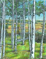Aspen / Birch Tree Pencil Sketch in the Alberta Foothills Pencil Drawing by Canadian Artist Kim Hunter / INDIGO. Custom Art & Illustration Available!