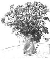 Flowers sketch Drawing  pencil drawing  by contemporary Canadian Vancouver BC Artist INDIGO aka Kim Hunter still life sketch, cristanthumums flowers pencil drawing, book cover illustration drawing beautiful draped woman Sketches pencil sketches drawings wildlife landscapes sketches pencil drawings nudes portraits Artist Kim Hunter freelance original graphite charcoal drawings custom illustration Original black & white Art Artwork Designer fine artist portraits, old growth forest sketches shiba inu dog pencil drawings of kids,childrens portraits pencil sketches / drawings of children women, men, flowers sketches, reclined figures sketches, tattoo designs, demon sketches, nature sketches pencil drawings & forest sketches, still life, naturalist sketches, cityscapes sketches pencil drawings illustrations west coast art for sale sketches for sale prints, posters, gifts, sketch artist illustrator artist designer Vancouver BC Canada Canadian contemporary artist Kim Hunter Indigo Murals, muralist Vancouver freelance artist