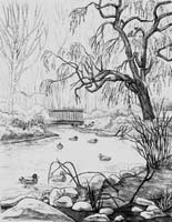 Pencil Sketch Stanley Park Landscape Sketch drawing waterfowl. View from the cement bridge over Lost Lagoon's Creek in Stanley park pencil drawing  by Canadian Vancouver BC Artist INDIGO aka Kim HunterPencil Sketches / Drawings / Illustration Flowers Wildlife Landscapes Sketches Ink Drawings &amp; Original Art by Vancouver BC Artist Kim Hunter a.k.a.INDIGO Landscape sketches, wildlife, nudes, people, portraits, pets, Art &amp; Design Pencil, graphite &amp; ink sketches &amp; drawings by Kim Hunter  freelance Vancouver artist