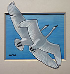 painting Trumpeter Swans in Flight Original Painting Click on Image for Detail