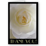 Blank Flower Cards Personalized Message Flower Card