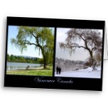 Vancouver Cards Blank Custom Vancouver Canada Souvenir Greeting Cards Postcards Vancouver Invitations
