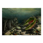 Fishing Bear Art Prints Wildlife Art Posters & Salmon Art Prints